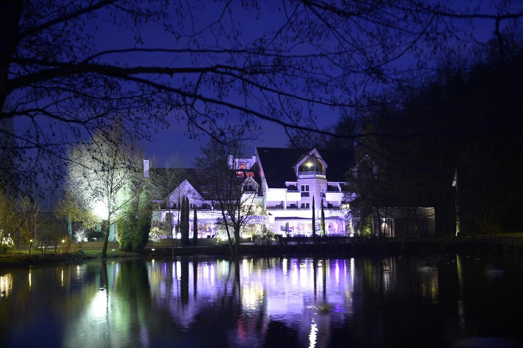 Hotel Les Rives Guebwiller Esterno foto