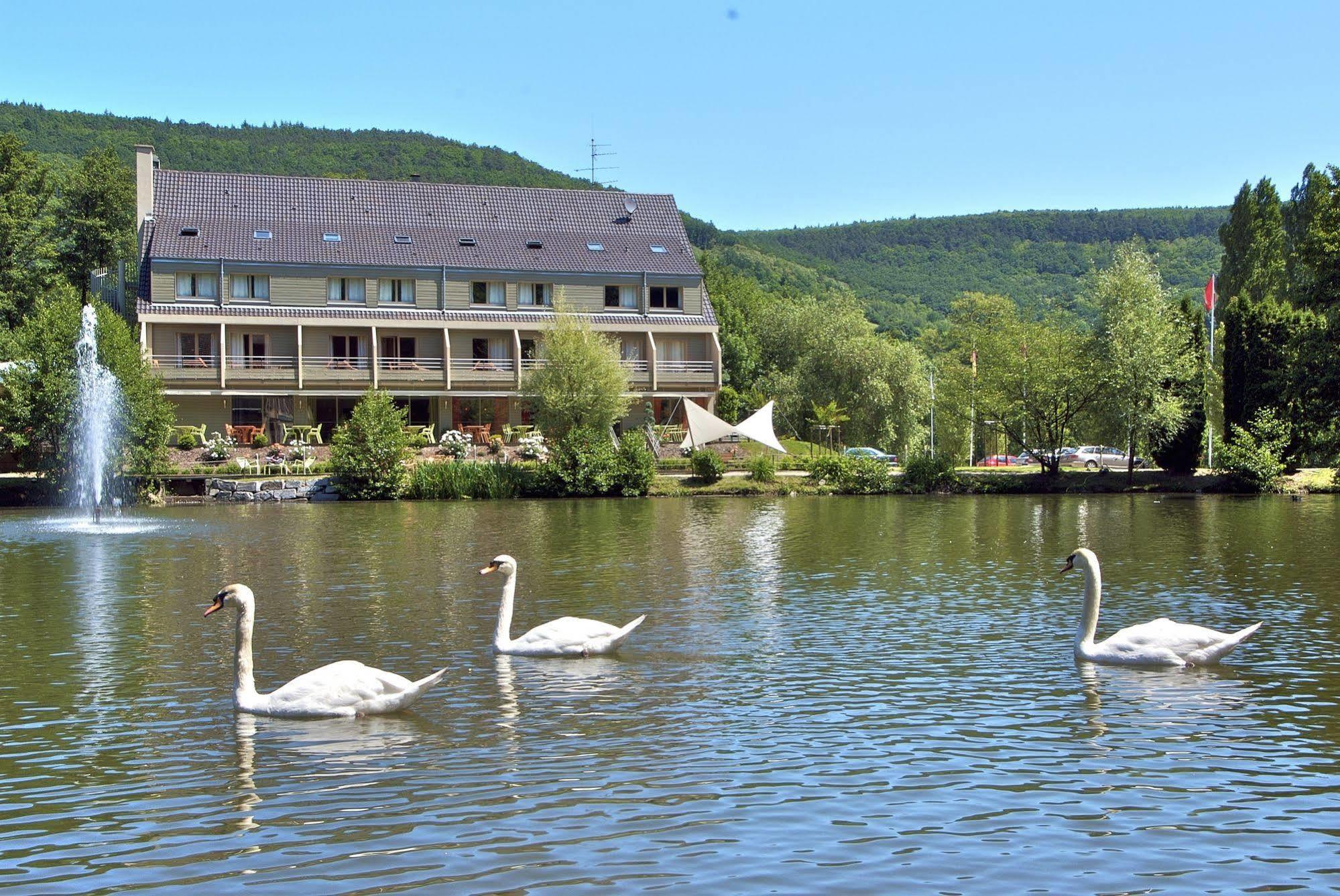 Hotel Les Rives Guebwiller Esterno foto